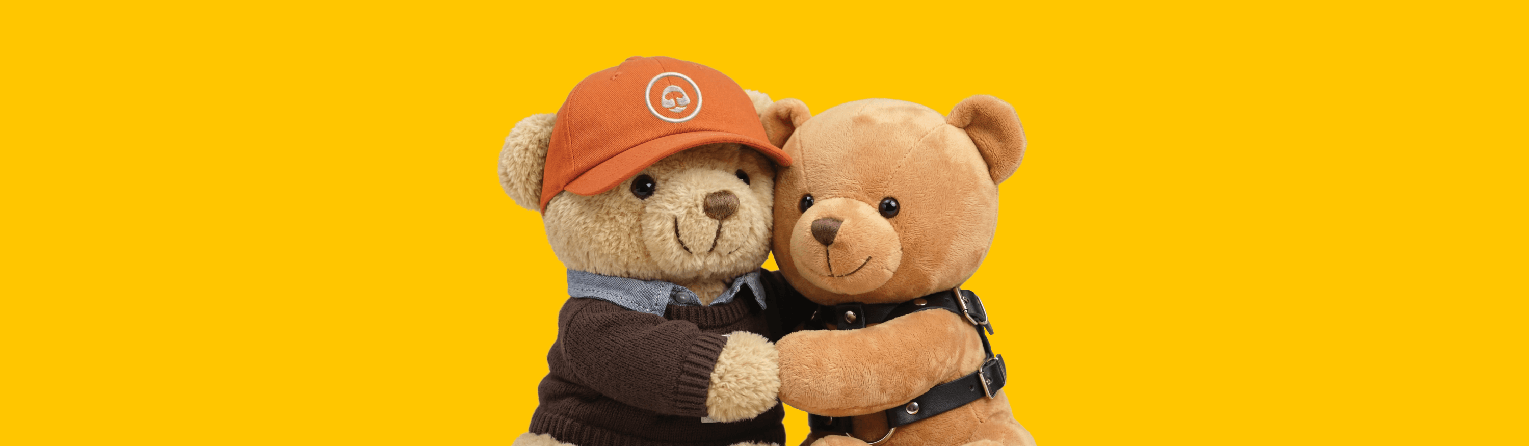 Hey Teddy teddy bear banner